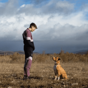 CHIEN DE LA CASSE 05_23 (2)