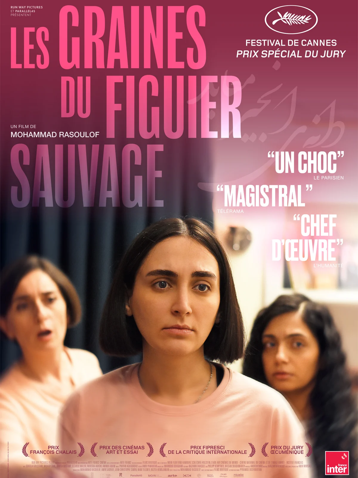 Les Graines du figuier sauvage - Affiche