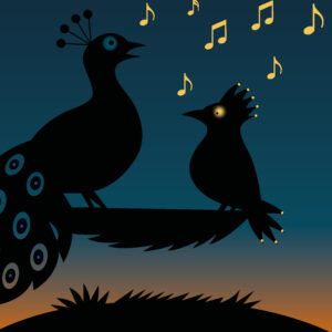 2025-09-01_Saison Culturelle_Barbe Blues_SITE Barbe Blues