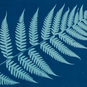 Photogramme Henri Bodin Musée des Arts Décoratifs de Paris LUMEN 2026 ©MAD, Paris Jean Tholance Bicentenaire de la photographie : projections de cyanotypes botaniques du MAD de Paris
